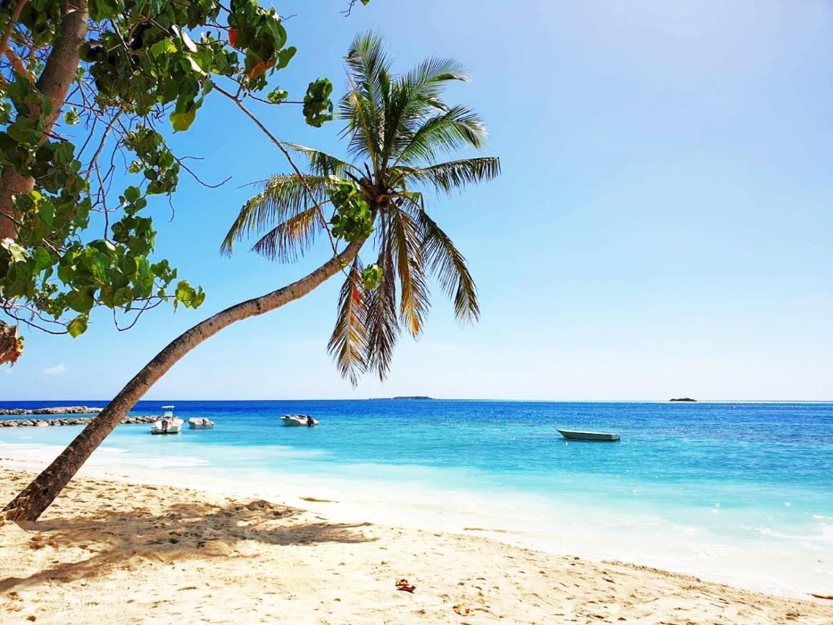 فندق راسدهو ريلاكس إن Rasdhoo المظهر الخارجي الصورة