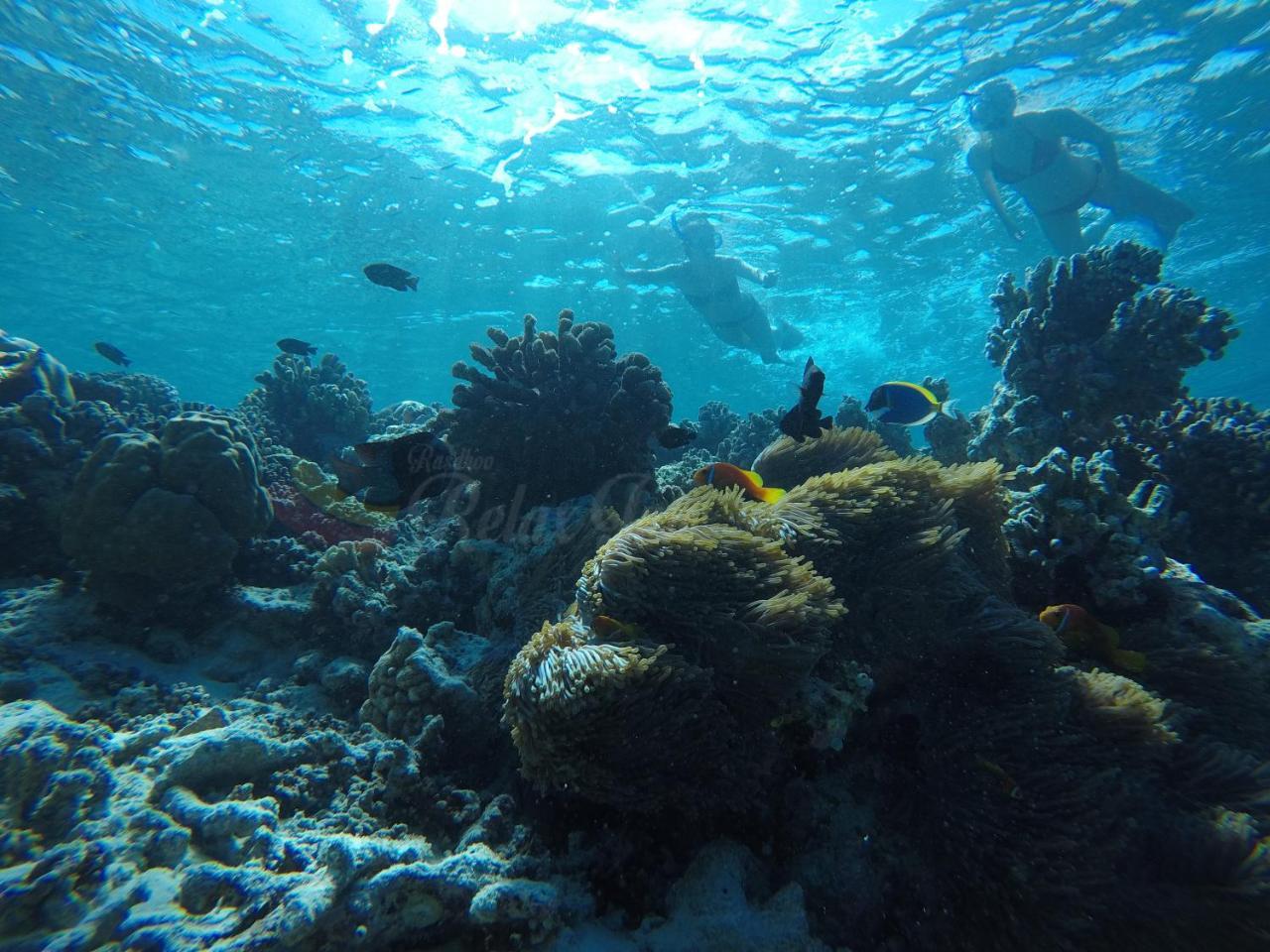 فندق راسدهو ريلاكس إن Rasdhoo المظهر الخارجي الصورة